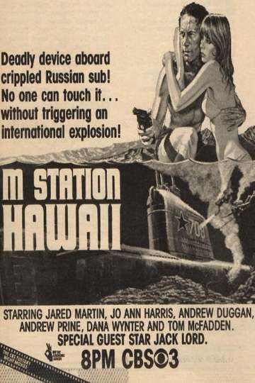 M Station Hawaii Poster
