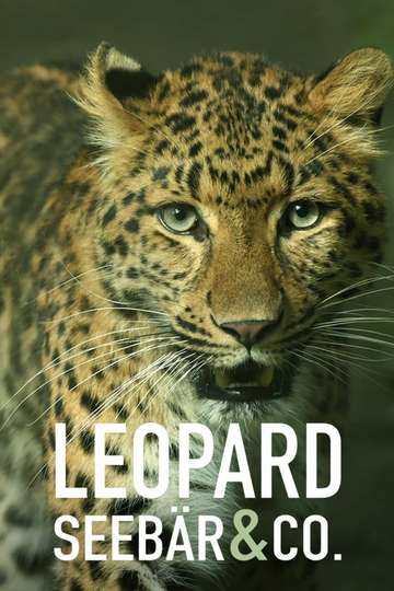 Leopard, Seebär & Co. Poster