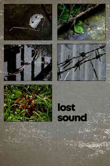 Lost Sound