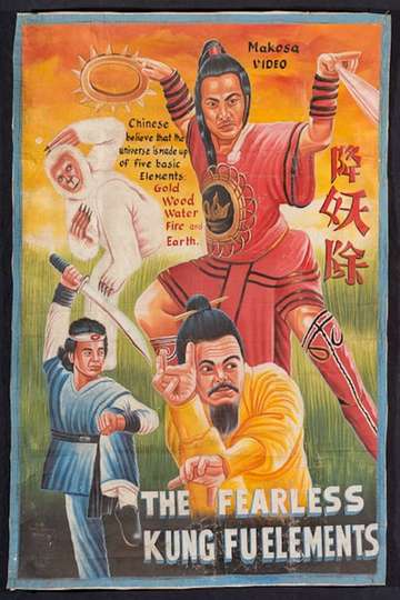 Fearless Kung Fu Elements Poster