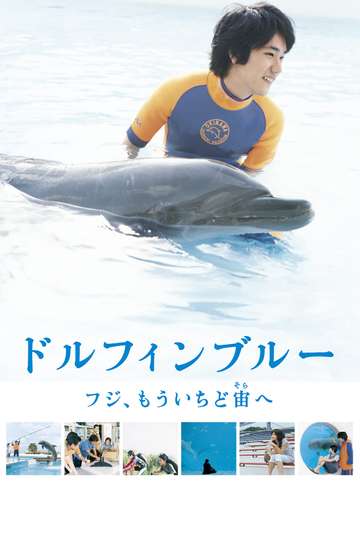 Dolphin Blue Soar Again Fuji