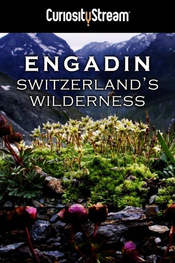 Engadin Switzerlands Wilderness