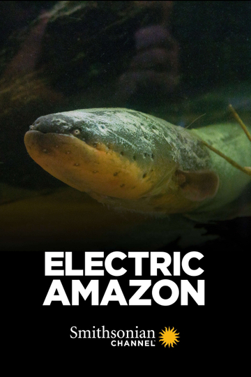 Electric Amazon