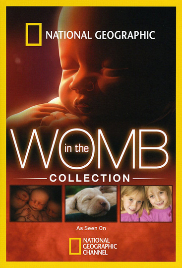 In the Womb