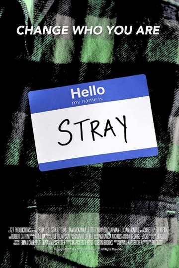 Stray Poster