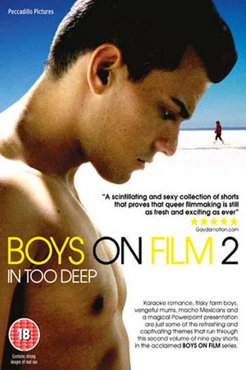 Boys On Film 2 In Too Deep Poster