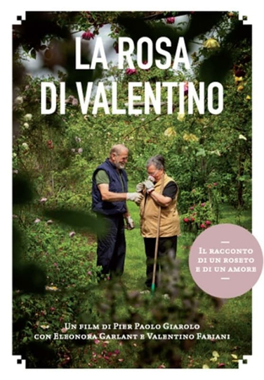 La rosa di Valentino