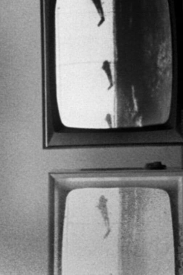 The Trouble with Images. A Critique of Television