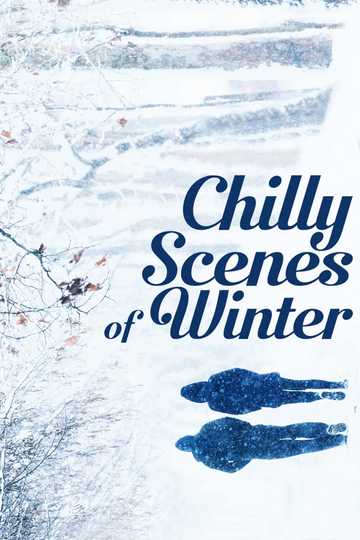 Chilly Scenes of Winter Poster