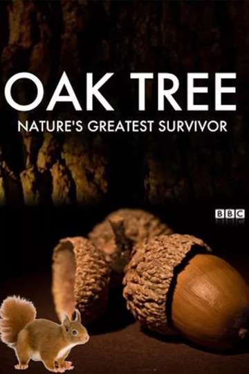 Oak Tree Natures Greatest Survivor