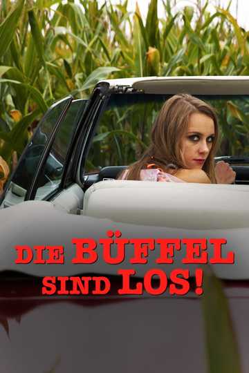 Die Büffel sind los! Poster