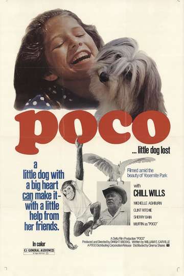 Poco… Little Dog Lost Poster