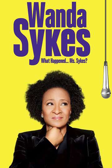 Wanda Sykes What Happened Ms Sykes