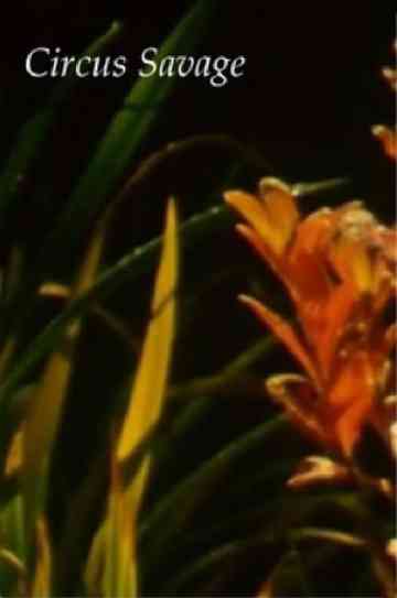 Circus Savage Poster