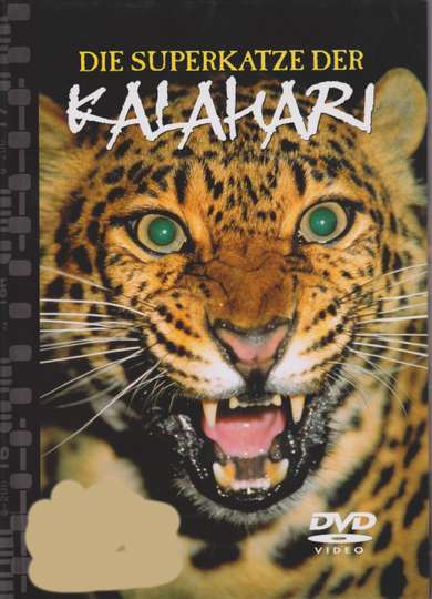 Natural Killers Predators Close Up Kalahari Supercat
