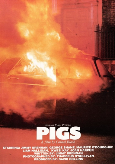 Pigs Poster