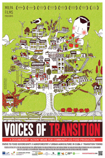 Voices of Transition