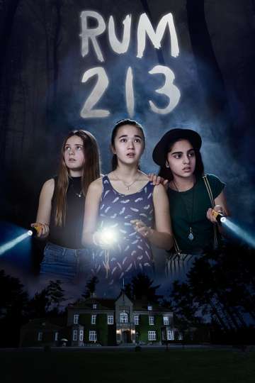 Room 213 Poster