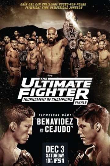 The Ultimate Fighter 24 Finale Poster