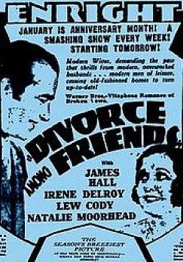 Divorce Among Friends Poster