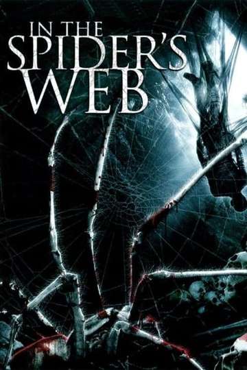 In the Spiders Web Poster