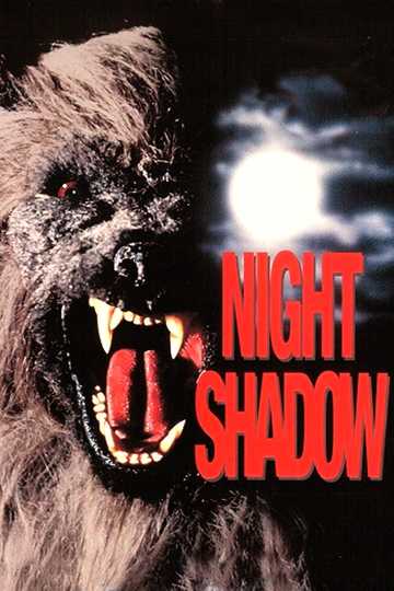 Night Shadow Poster