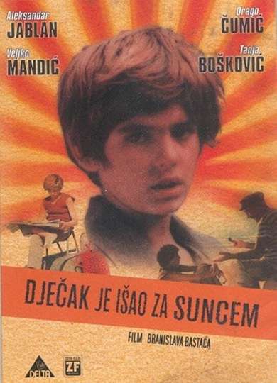 The Boy Who Followed the Sun Poster