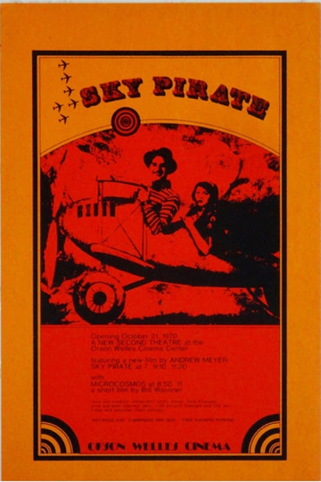 The Sky Pirate Poster