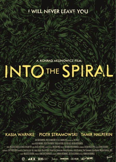 Into the Spiral Poster