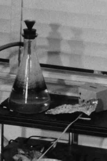 Room (Double Take) Poster