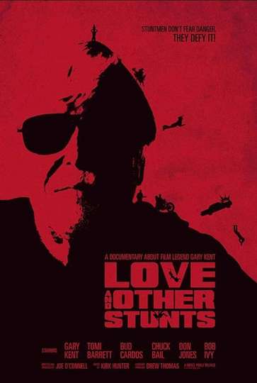 Love and Other Stunts Poster