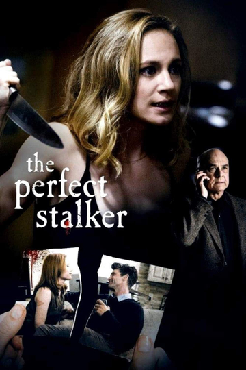 The Perfect Stalker Poster