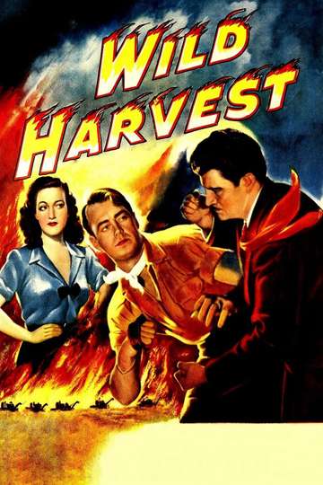 Wild Harvest Poster