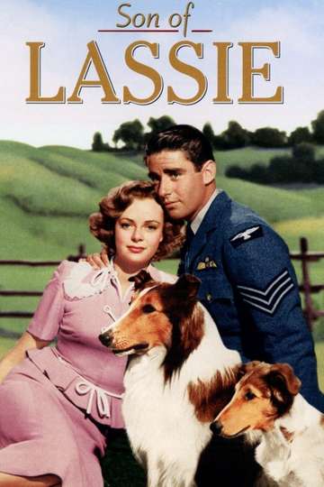 Son of Lassie Poster