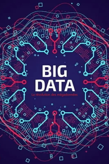 Big Data  La révolution des mégadonnées