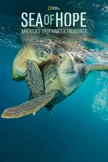 Sea of Hope Americas Underwater Treasures Poster
