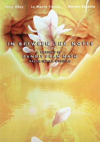 In Between The Notes A Portrait of Pandit Pran Nath