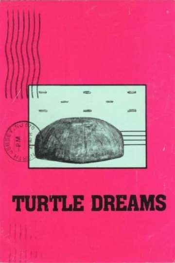 Turtle Dreams Poster