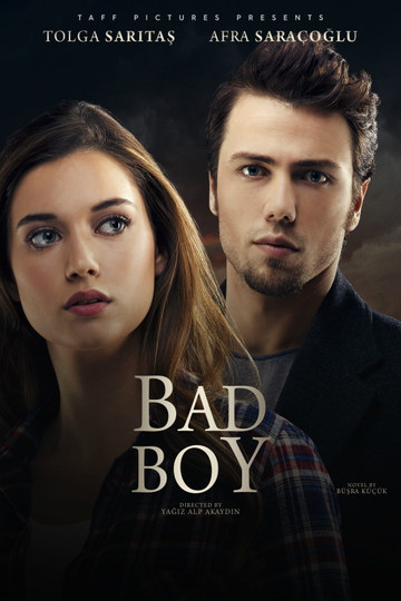 Bad Boy Poster