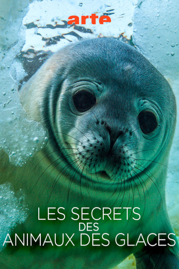 Les Secrets des Animaux des Glaces Poster