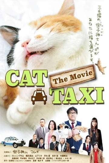 Cat Taxi Poster