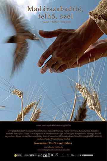 Bird Saviour Clouds and Wind