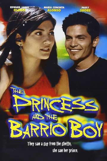 The Princess and the Barrio Boy Poster