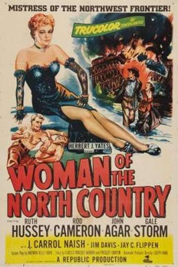 Woman of the North Country Poster