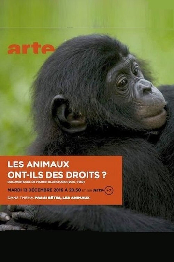 Les animaux ont ils des droits