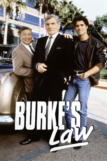 Burke's Law Poster