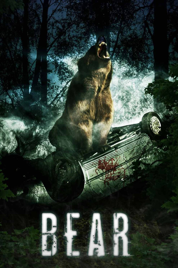 Bear Poster