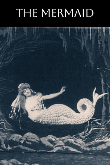 The Mermaid Poster