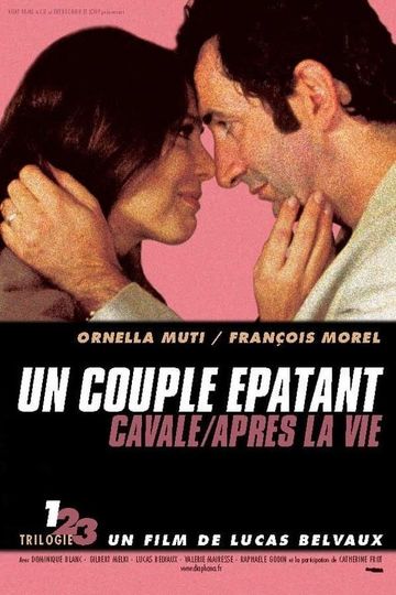 An Amazing Couple Poster