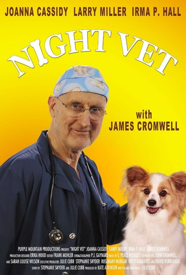 Night Vet Poster